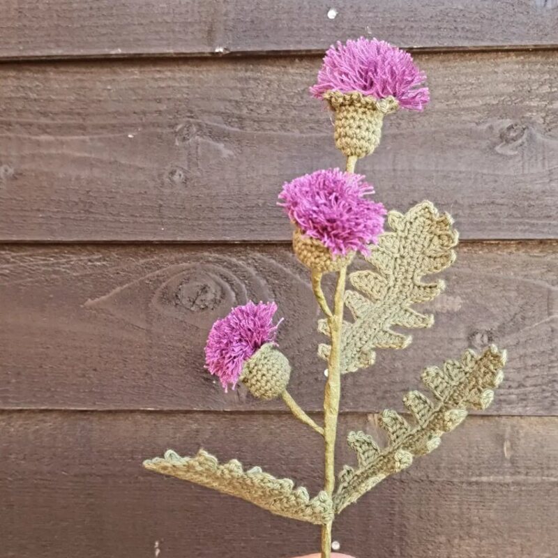 Hæklet tidsel med lilla blomster og grønne blade